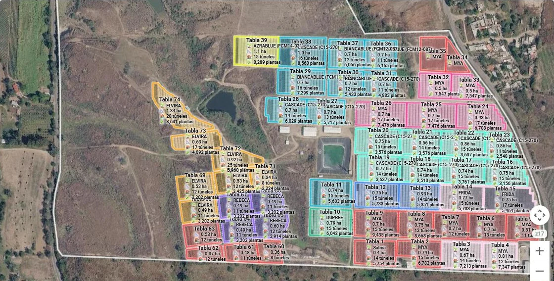 Mapa satelital con los sectores del rancho dibujados, cada uno con su variedad, hectáreas y plantas.